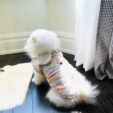 A fluffy white dog in a Summer Princess Vintage Style Handmade Pet Dress-Shirt by Sonia's Vokalized Kreations sits on a dark wooden floor, gazing at a sunlit area by the curtain.