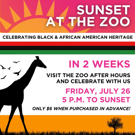 Celebrate Black & African American Heritage with SVK at Sunset At The Zoo