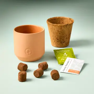 The Tiny Terracotta Garden Kit - Baby Watermelon by Sonia's Vokalized Kreations features a terracotta pot, biodegradable pot, organic seeds, plant food packet, and six soil pellets arranged on a light surface.